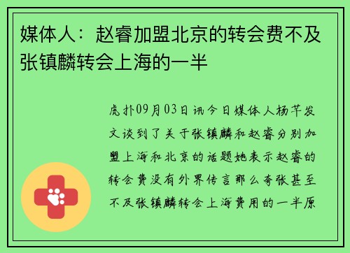 媒体人：赵睿加盟北京的转会费不及张镇麟转会上海的一半